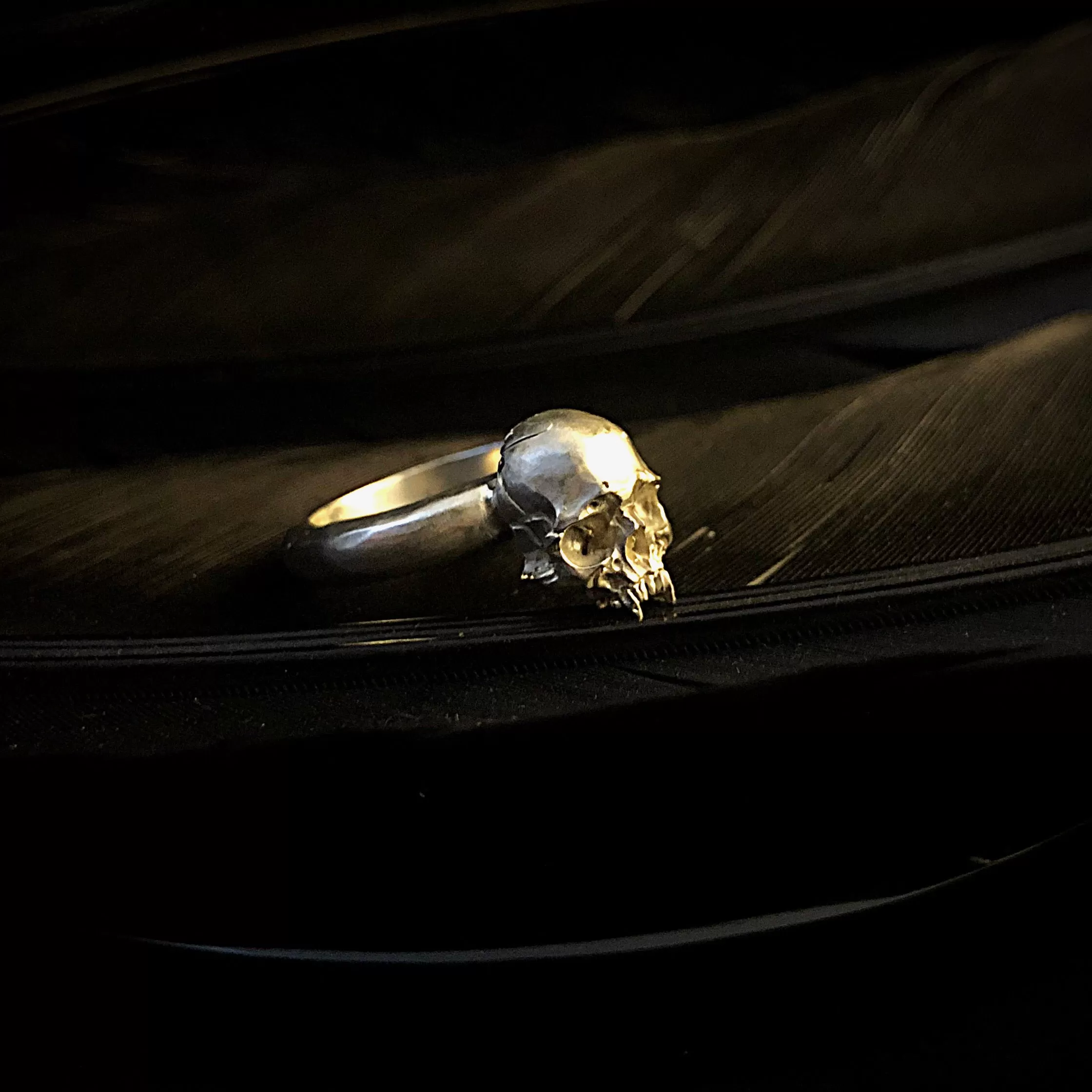 Dracul Band Ring