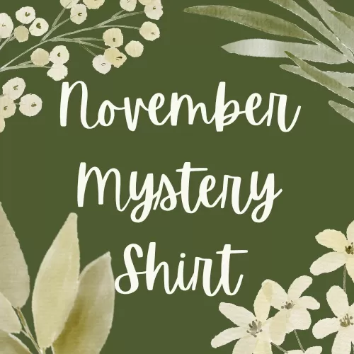 NOVEMBER 2022 Mystery Shirt {Pre-Order:  Ships First Week of NOVEMBER/Please Order Separately/Orders Are Not Split Up!}